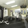Fitness center with cardio machines and weight station