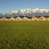 Homes beyond an open field with mountain views